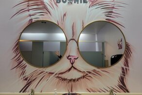 15 необычных вещей, созданных продуманными людьми