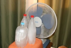 От фарша до шланга: хитрости на все времена года