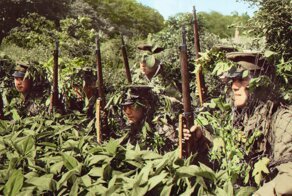 Полезный дефект: почему США брали в армию дальтоников во Вторую мировую войну