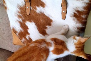 15 человек, которым удалось сделать идеальный снимок