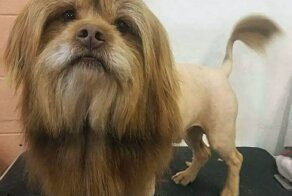 Люди, которые понимают всё слишком буквально