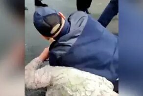 "Вы чё, вообще что-ли?": в Петербурге женщина покусала полицейского, когда тот применил к ней удушающий прём