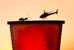 50 снимков, сделанных точно в нужный момент