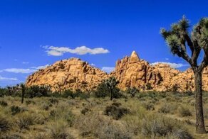 27 ярких снимков из Южной Калифорнии, которые хорошо передают атмосферу этого места