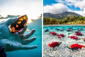 14 любопытных природных явлений