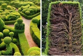 12 фотографий, которые раскрывают внутреннюю суть разных предметов