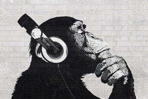 "Планета обезъян" или "Arctic Monkeys": исследование показало, что выбирают приматы
