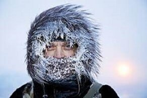 20+ известных фейков, в которые до сих пор верят все подряд