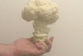 17 фотографий, на которых вещи будто пытаются притвориться чем-то другим
