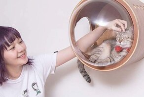 16 примеров того, как дизайнеры постарались на славу