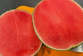 16 фотографий на&nbsp;радость перфекционистам