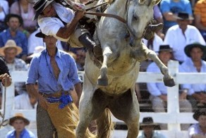 Свирепые лошади (20 фото)