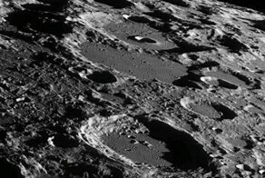 NASA запретило продавать мёртвых тараканов, сожравших лунную пыль