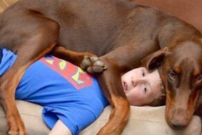 Домашние животные совершенно не знают, что такое личное пространство