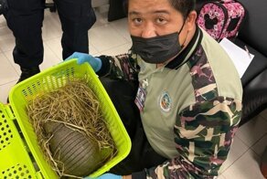 В Бангкоке задержали женщин, которые пытались провезти 109 животных