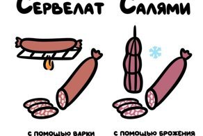 Наглядные картинки, которые быстро помогают понять отличия