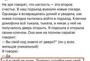 13 историй о человеческой наглости, которая не имеет границ
