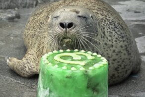 17 угарных изображений, которые обязательно поднимут вам настроение