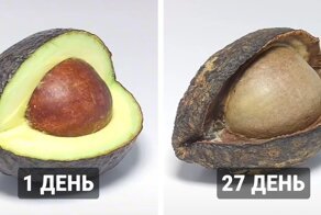 Что случится с едой, если своевременно не убрать её в холодильник