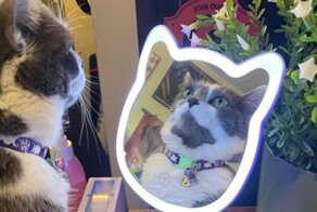 «Это точно лучший снимок, который я когда-либо делал»: 18 фотографий животных