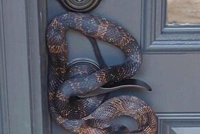 Аура тревоги и флёр противоречия: интересные и неоднозначные фото