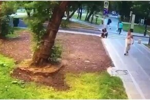 Момент падения дерева на мужчину во время урагана в Москве попал на видео