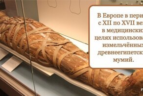 Занимательные факты о врачевании и лекарствах
