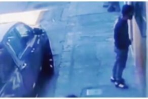 Парень успел поймать выпавшую из окна собаку