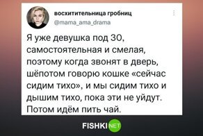 Посвящается кошатникам: и будут они жить долго и счастливо
