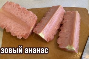 Подборка занятных диковинок от пользователей сети