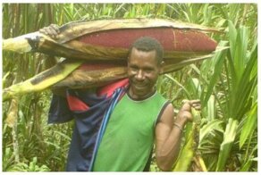 18 забавных необычностей из мира растений