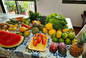 12 людей из разных стран показали, сколько стоят и как выглядят их продуктовые корзины