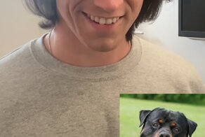 Как породы собак реагируют на грабителей. Часть 2