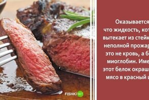 Сочные факты о мясе