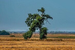 30 интересных и необычных фото со всего света