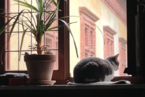 Уютные места, находиться в которых одно удовольствие