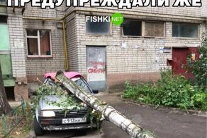 Подборка автоприколов на пятницу