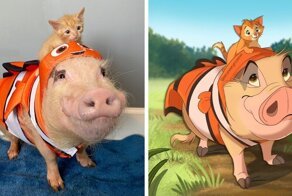 Девушка рисует портреты животных по фото, превращая их в персонажей мира Дисней