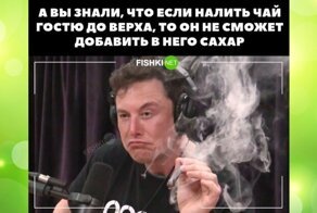 Повернулись на деньгах: мемный пост о жадности