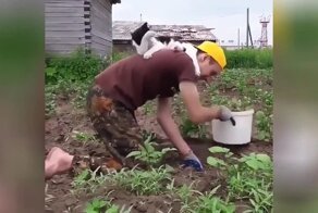 «Незаменимый» помощник в огороде