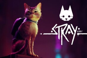 Питомцы игроков Stray часами наблюдают за персонажами своих хозяев