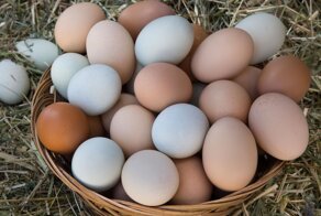 Кулинарные хитрости 18-го века: зачем англичане лизали яйца и закапывали их в соль