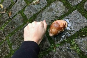14 удивительных и любопытных снимков, которые показывают реалии жизни в Бразилии