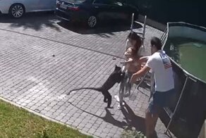 В Подмосковье сбежавшая из частного зоопарка обезьяна изуродовала двухлетнюю девочку