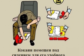 Правила поведения в самолете (2 фото)