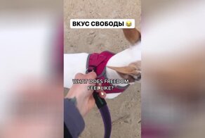 Собаку отпустили с поводка, и он обезумел от радости