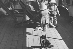 Кошка, предсказавшая катастрофу "Титаника"