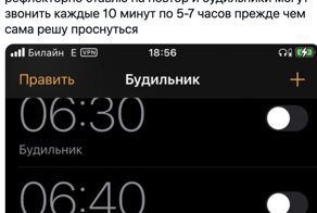 "Закрыл глаза на 5 минут - опоздал на 2 часа": пользователи рассказали о своих непростых отношениях с будильниками