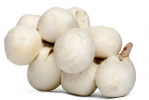 Первые минуты жизни змеи (13 фото)