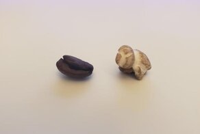18 крайне любопытных фотографий, которым не нужны слова, чтобы ответить на вопросы «что будет, если»